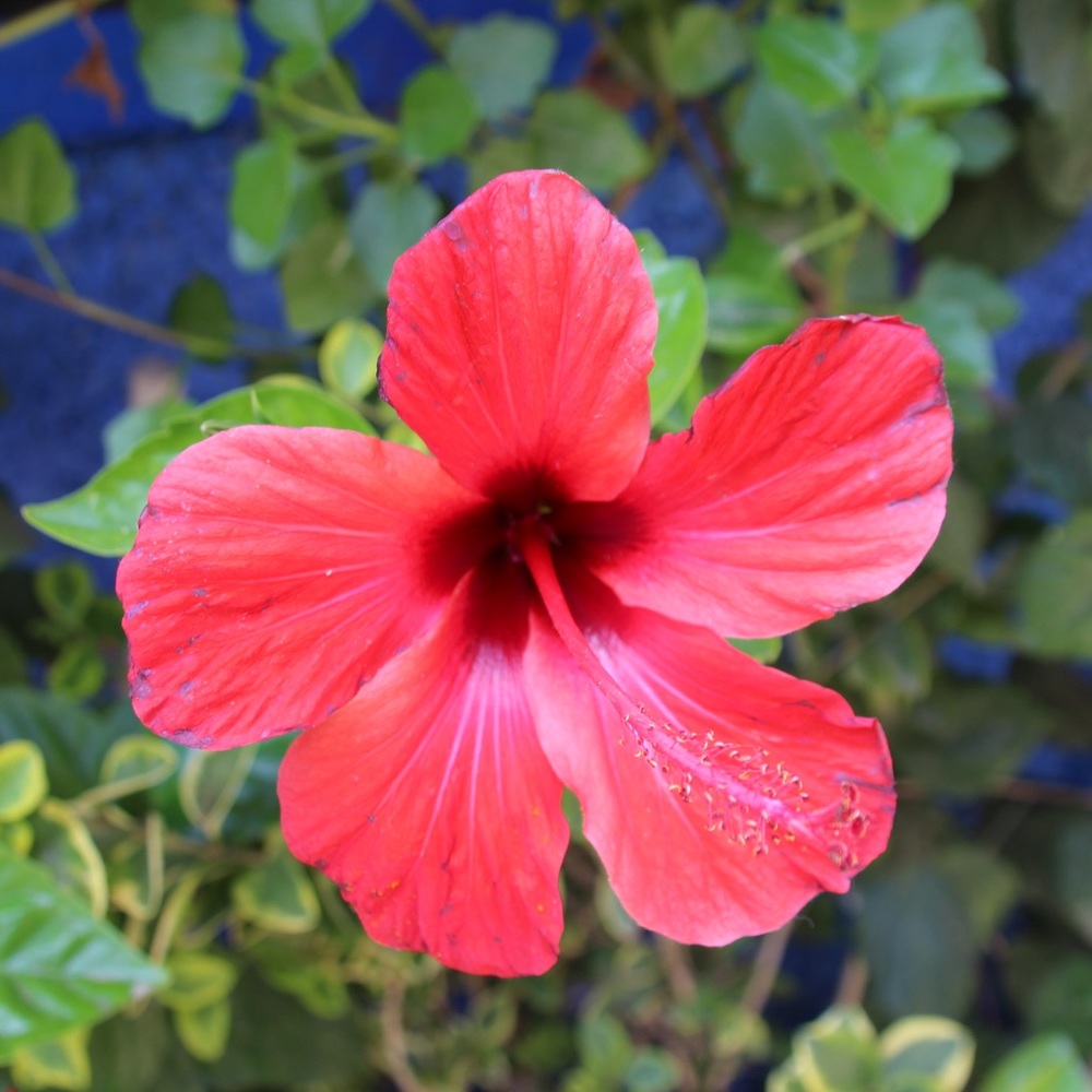 Meet your Posher, Ann